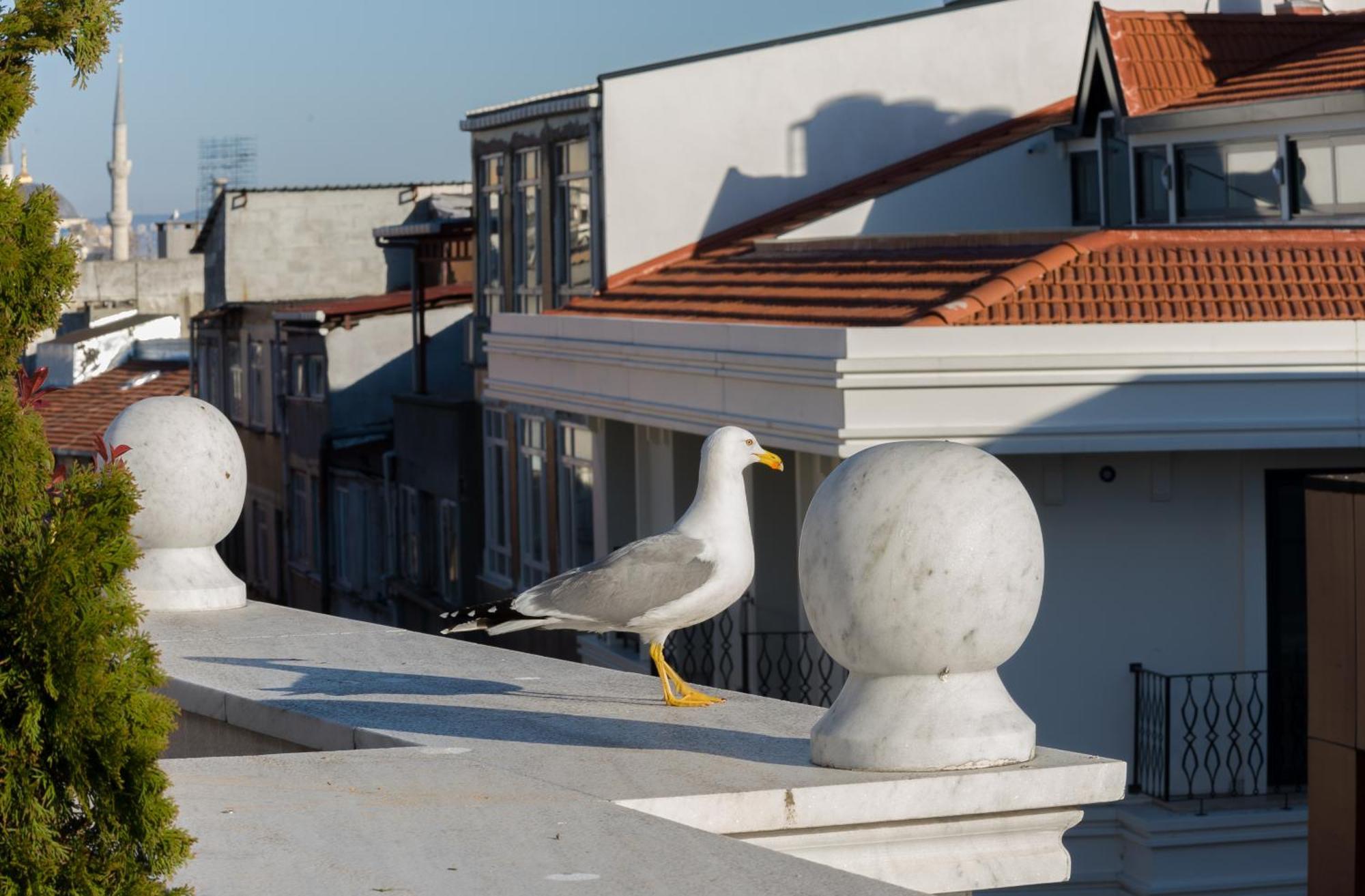 Bizim Hotel Istambul Exterior foto